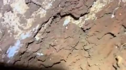 MAN HEARS BIZARRE NOISES UNDERGROUND 🕳️ DIGS 6 FEET AND FINDS SOMETHING HE CAN'T EXPLAIN