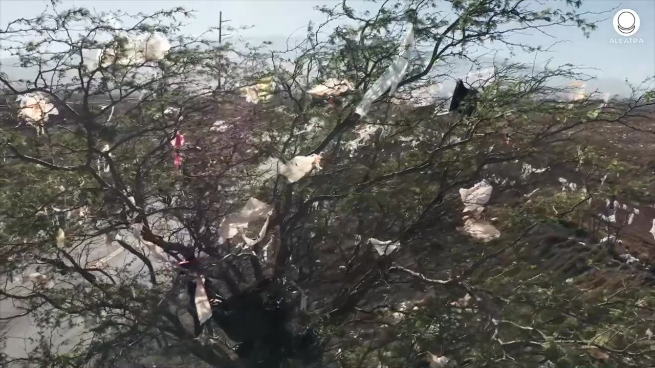 Plastic In The Placenta?