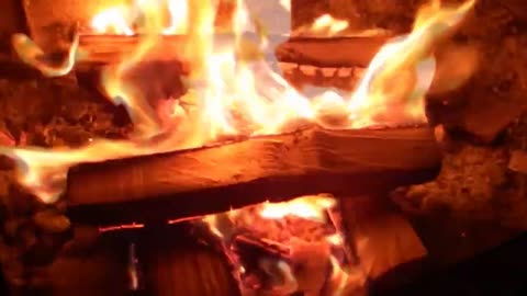 Diario Di Bordo (16 Gennaio 2024) [V°]