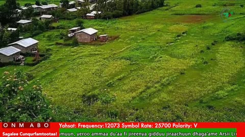 Oduu Waaree ONM-ABO Hagayya 4-2025 itti dhiyaadhaa!