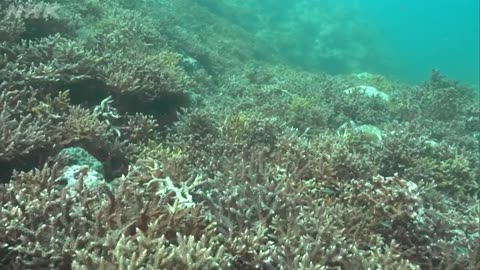 さわやか自然百景 佐賀 唐津の海