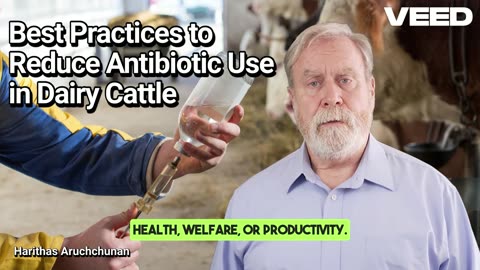 Best Practices to Reduce Antibiotic Use in Dairy Cattle