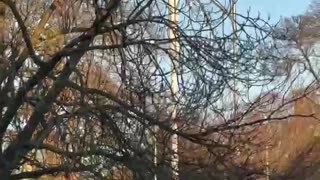 Rothschild BlackRock WEF Power...