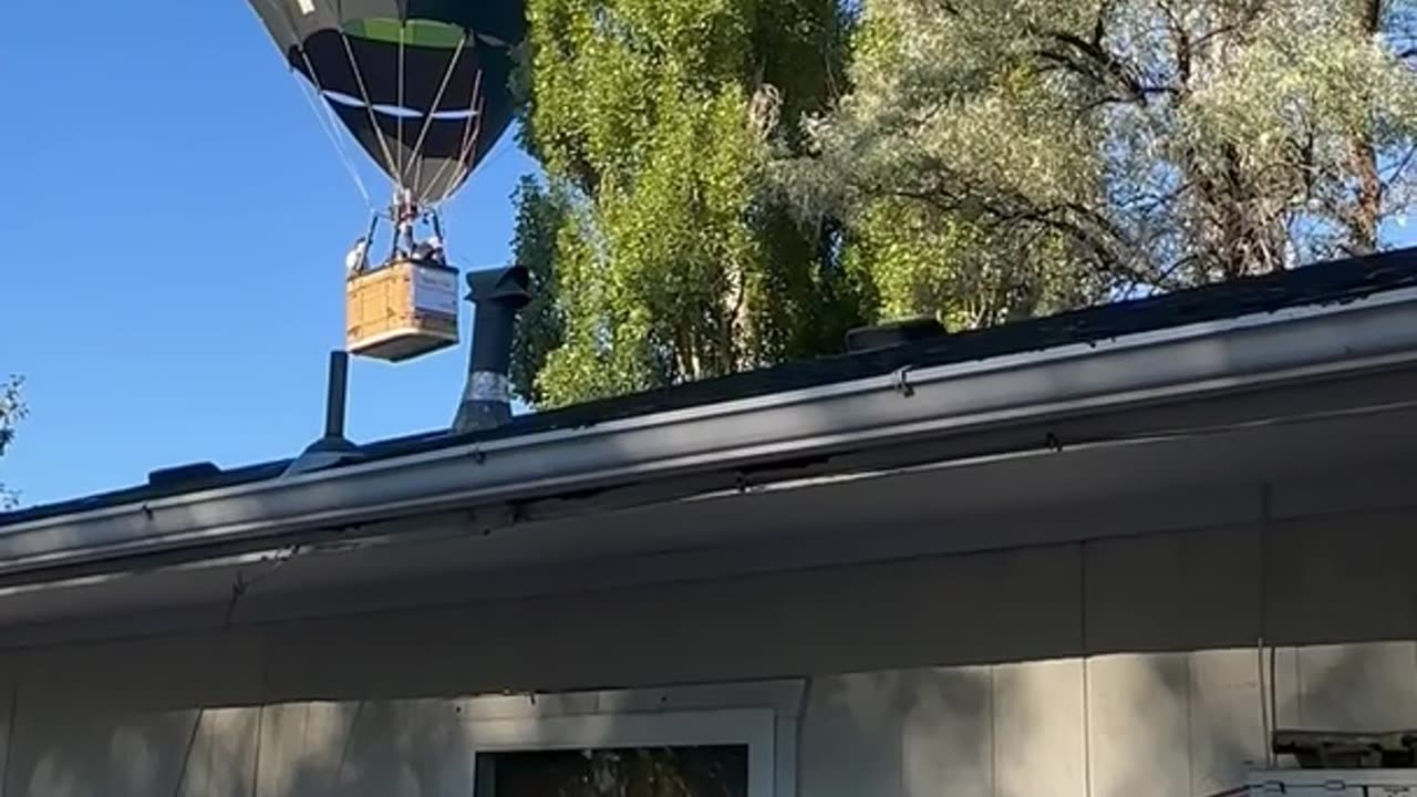 Hot Air Balloon Grazes Tree Branch, Leading to Minor Damage