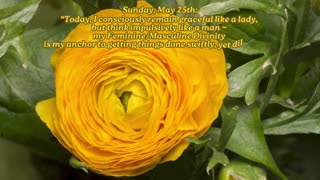Act Like a Lady, Think Like a Man ~ Sunday, May 25, 2025 Numerology @ a Glance!