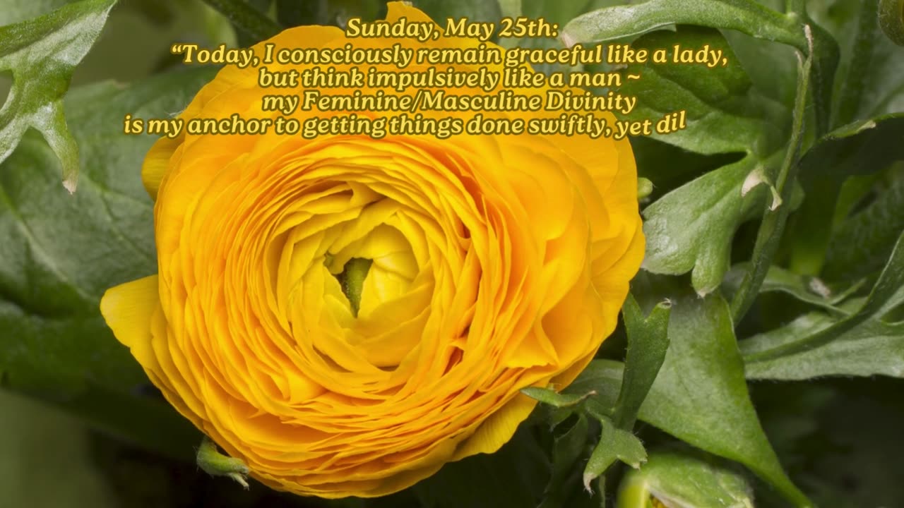 Act Like a Lady, Think Like a Man ~ Sunday, May 25, 2025 Numerology @ a Glance!