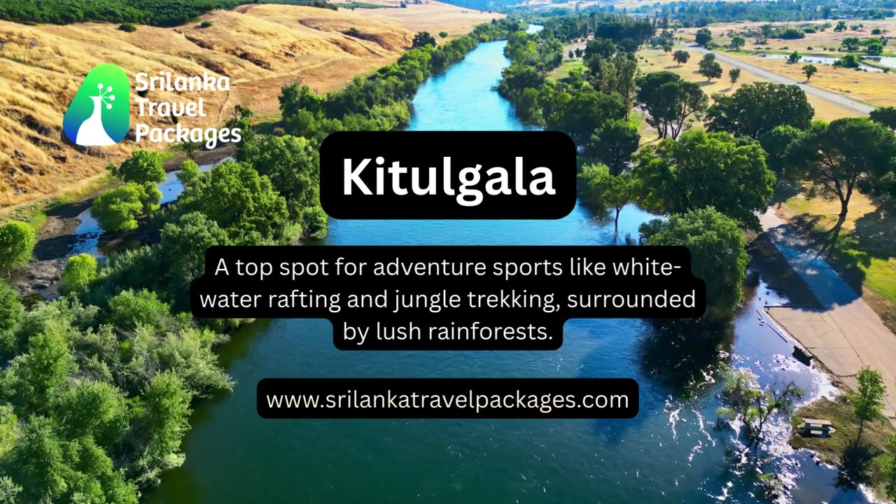 Sri Lanka Travel Packages: Discover the Best of the Island