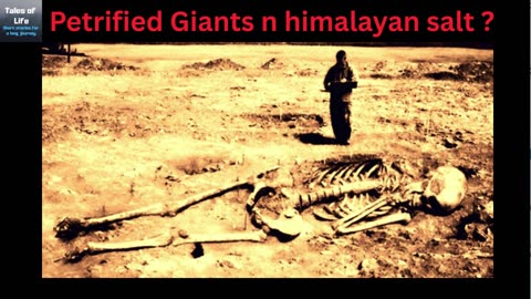 Petrified Giants n himalayan salt