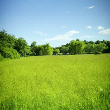 A guide that brings peace to the mind and body.