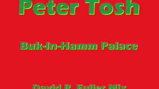 Peter Tosh - Buk-In-Hamm Palace (David R. Fuller Mix)