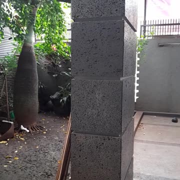 Journey to Earth’s Last Wilderness