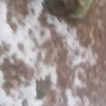 (INSANE) Russian Soldier Sets Off Anti-Tank Mine By Carelessly Dragging it Across a Road While Armed