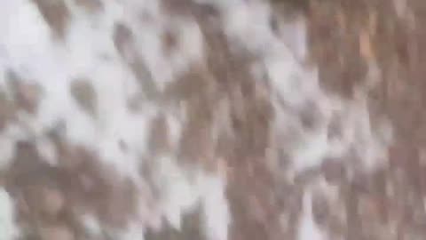 (INSANE) Russian Soldier Sets Off Anti-Tank Mine By Carelessly Dragging it Across a Road While Armed