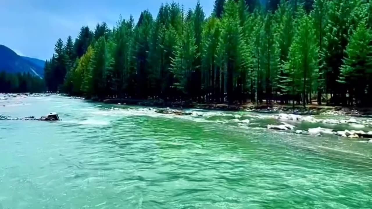 قرآن کریم کا سمجھنا