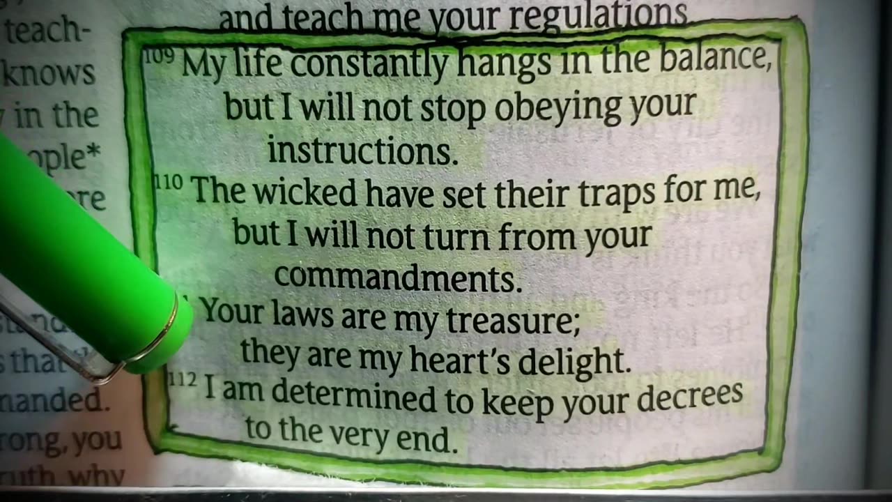 Your Laws Are My Treasure..