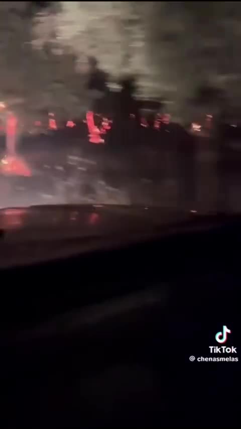 In un "incendio" a Badajoz, Spagna, bruciano solo gli ulivi... da dentro.