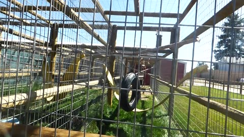 Not much going on here