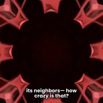 Vampire Stars: The Space Phenomenon That Feeds on Others