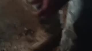 ⚔️🕳️ Ukraine Russia War | Ukrainian Soldiers Dig Trenches Amid Artillery Fire | RCF