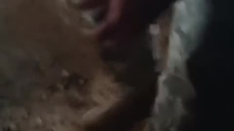 ⚔️🕳️ Ukraine Russia War | Ukrainian Soldiers Dig Trenches Amid Artillery Fire | RCF