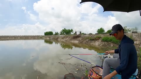 Pike Deadbait Fishing in River Slack Waters