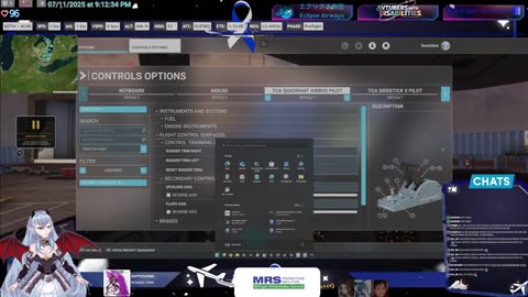 Standard ops || Eclipse Airways || Newsky Network + JoinFS + FSHub