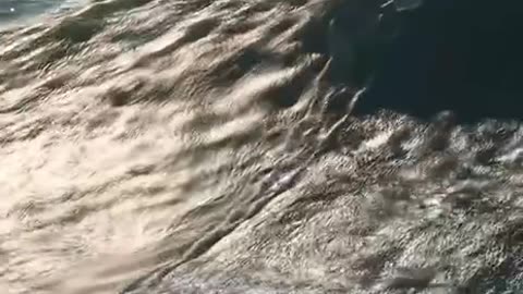 Huge surf wave