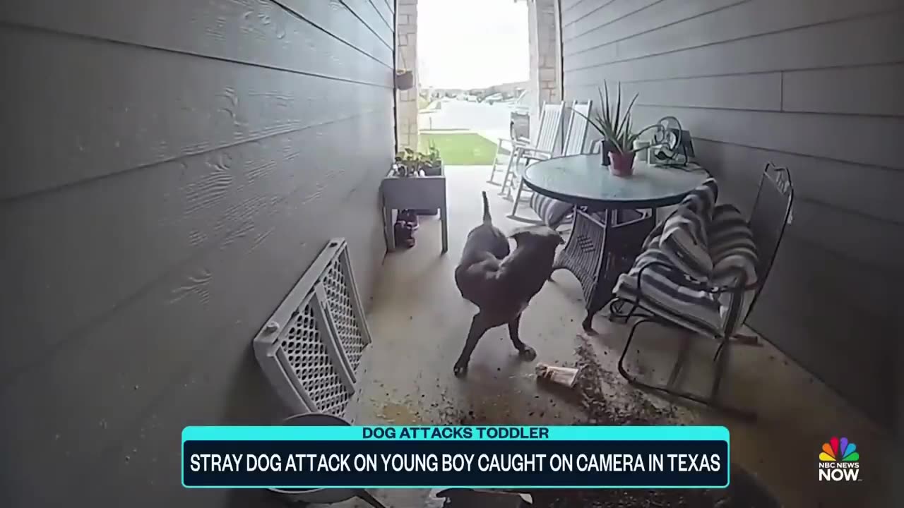 SHE PROTECTED HER CHILD.