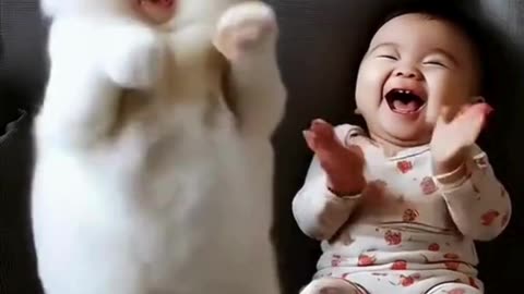 Pure Purr-fection! 😻🐾 Adorable Happy Cat Videos cute baby and #cute #cat# video