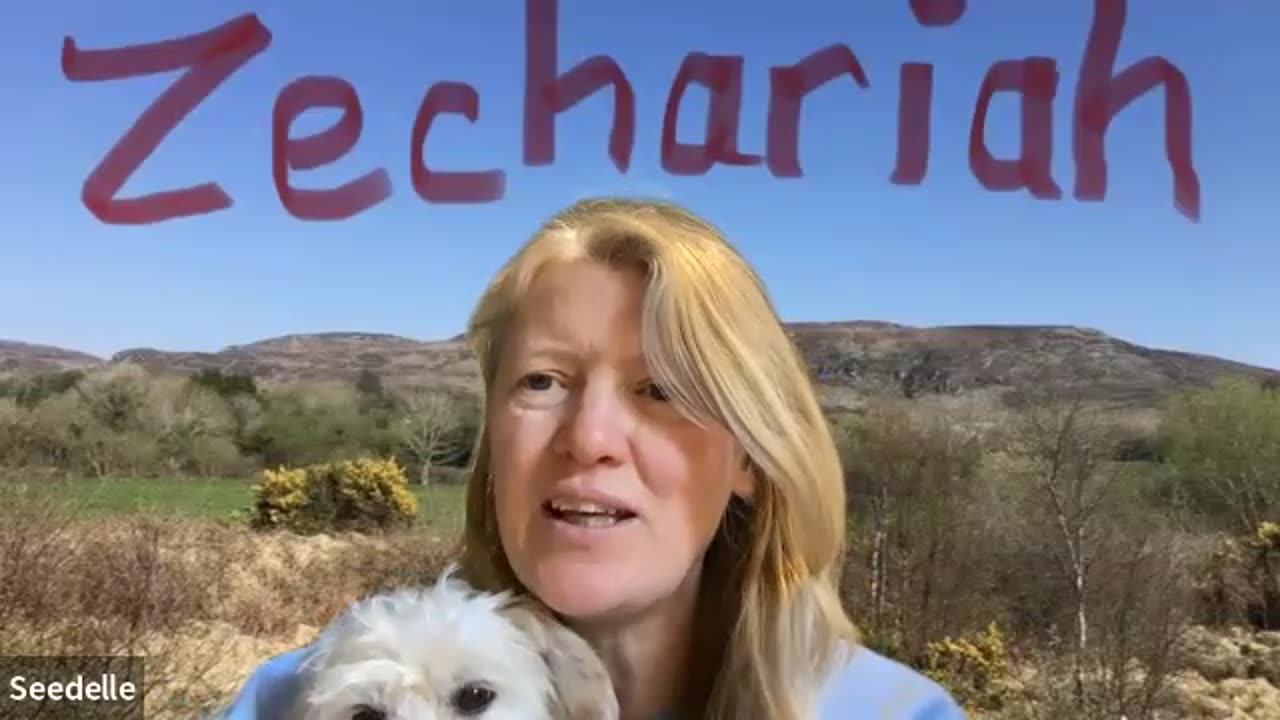 Zechariah 12, Jerusalem, Israel , God, They Will Look on Me Whom They Pierced, Jesus prophecy