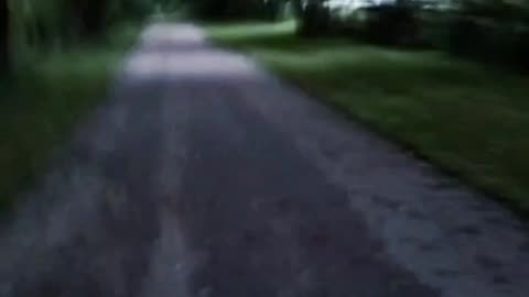 Failed Homemade Harness Test #3