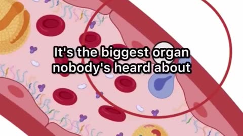 "People Today Have Too Little Cholesterol...