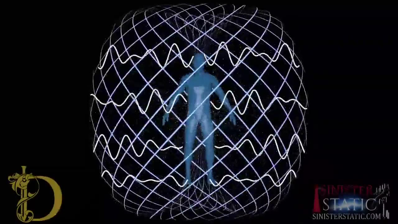 A MANUAL FOR THE HUMAN BIOFIELD