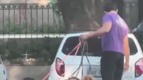 🐶😂 Walkies Just Got a Whole Lot More Interesting! | FunFM