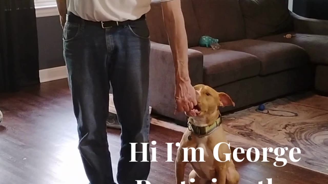 Hi I'm George .Practice short 4