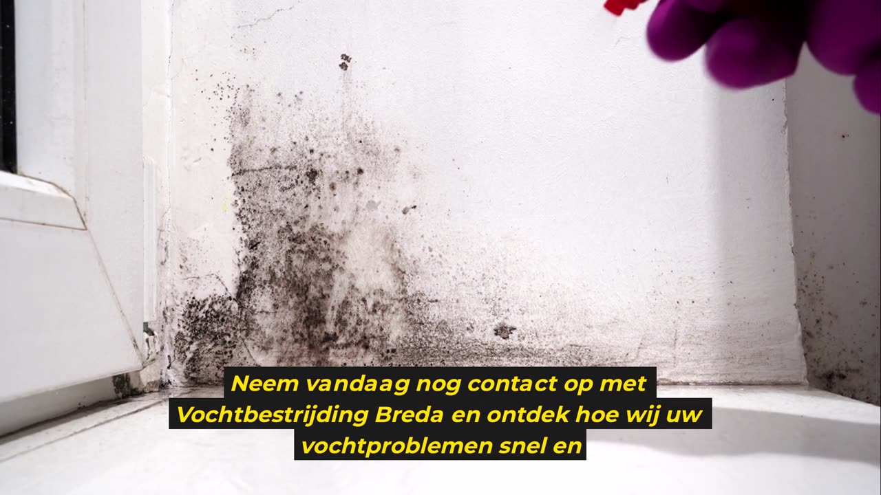 Vochtproblemen in Breda? Laat Vochtbestrijding Breda het oplossen!