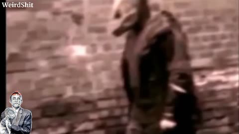 <> Obama 🦎Reptilian <> And More <>Reptilians