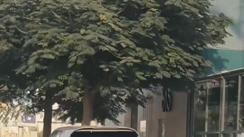 ✨ The Most STUNNING Car Interior You'll See! | LuxurySportsCars