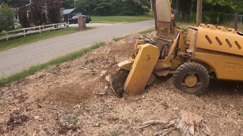Grinding Stumps in Hazel Green — Preparing for a New Driveway