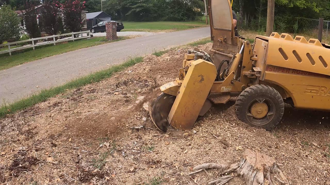 Grinding Stumps in Hazel Green — Preparing for a New Driveway