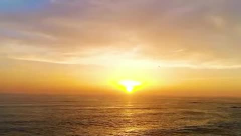 Soothing Tropical Beach Music 24/7 – Relaxing & Peaceful Instrumentals by Tim Janis