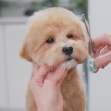 Handsome little devil 😊