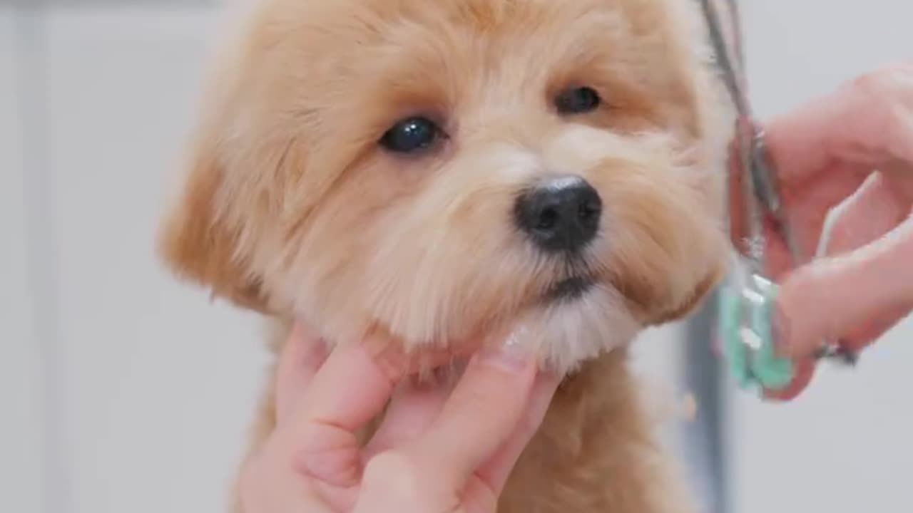 Handsome little devil 😊