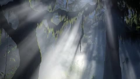 The Moonlit Swamp Grove, AI Video