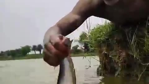 Other's fishing vs Last One 😱☠️