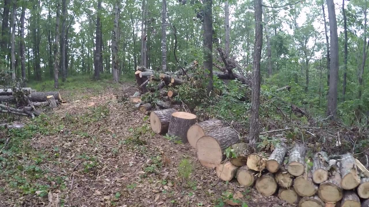 Upstate SC Trail Tour - Part I