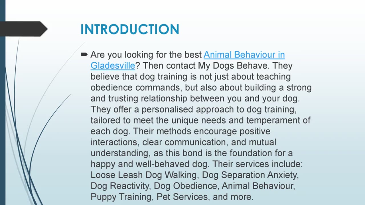 Best Animal Behaviour in Gladesville