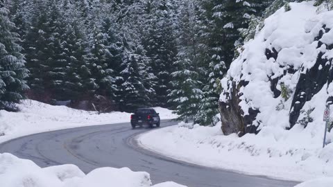 Pickup trucks turning a curve in a highway in a snowy pine forest in Canada.