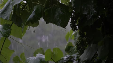 Relaxing soft Piano Music for Sleep, Study, Meditation & Stress Relief.