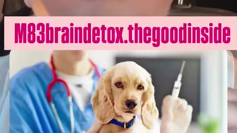 Still routinely vaccinating your beloved Pets in 2025 then you’re simply not paying attention.